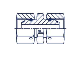 Прямой адаптер BSP с накидной гайкой