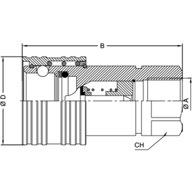 ISO A BSP Розетка