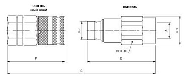 APM BSP APM BSP